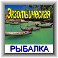 таиланд рыбалка, экзотика рыбалка, тропики рыбалка, море рыбалка, самуи рыбалка, барракуда, марлин, тунец, голубая акула, рыба дельфин, бангкок, королевство таиланд, отдых таиланд, таиланд турн